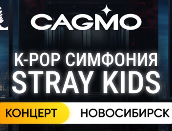 Оркестр CAGMO. K-Pop Symphony: Stray Kids