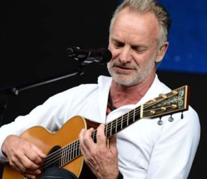 Simple Music Ensemble. Sting