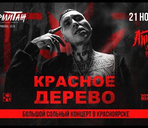 Красноярск|красное Дерево|21 Ноября