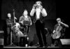 Tango Orchestra Misterioso