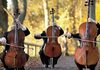 Magic Cellos Band. Легендарные рок-хиты на виолончелях