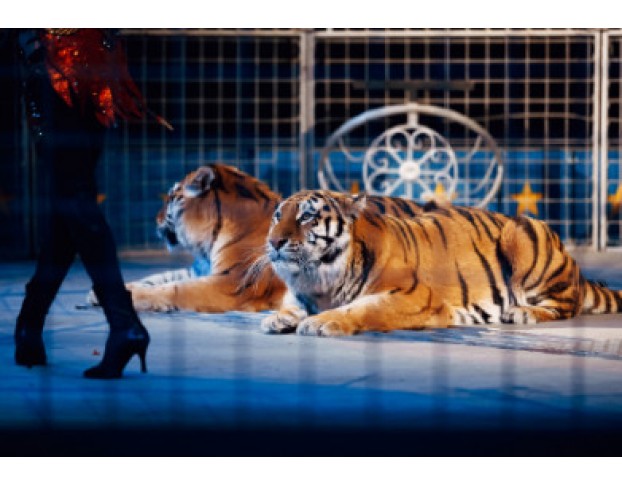 Волшебный Новый Год