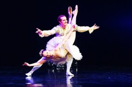 Гала-Щелкунчик, Лебединое Озеро, Дон Кихот