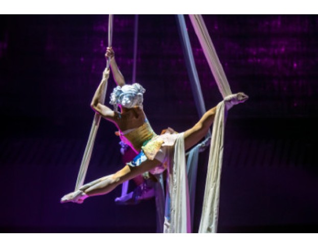 Стойкий Оловянный Солдатик