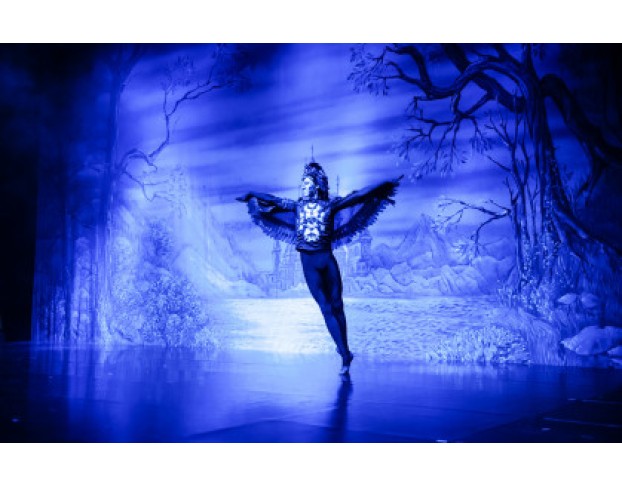 Лебединое Озеро