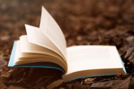 Роман с Моей Жизнью