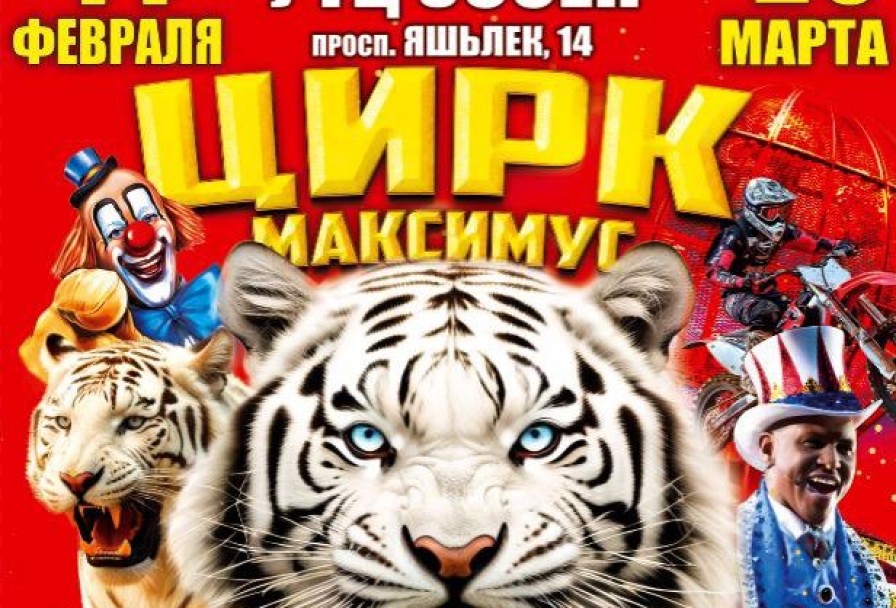 Цирк Максимус