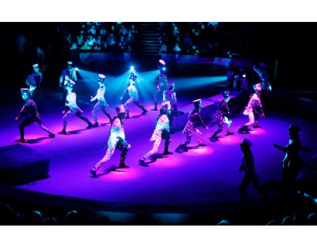 Стойкий Оловянный Солдатик