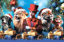 Волшебный Новый Год