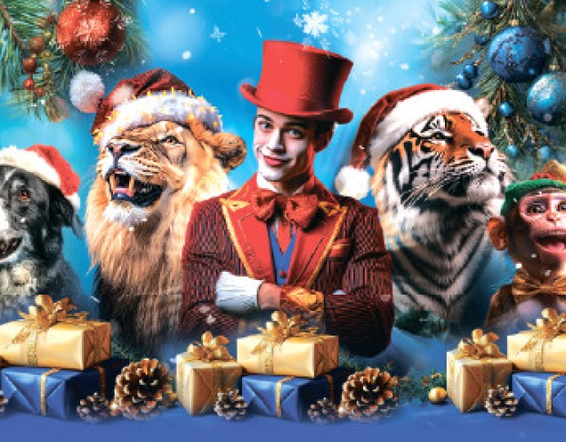 Волшебный Новый Год