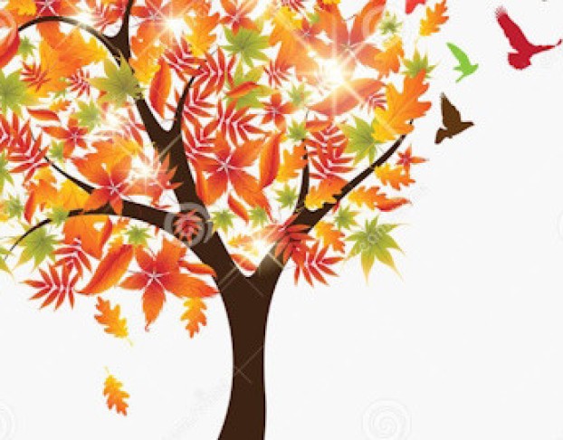 Кот Котофеич и Чудо Дерево