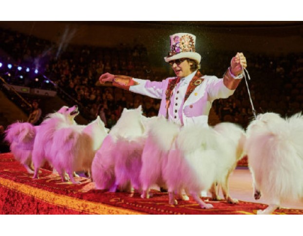 Империя Львиц