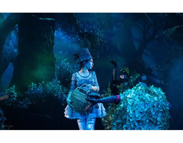 Несносная Принцесса