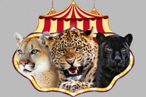 Circusland