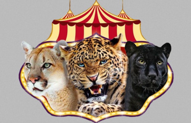 Circusland Circusland