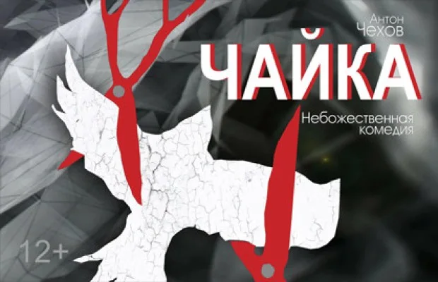 Чайка Чайка