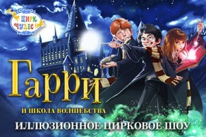 Гарри и Школа Волшебства