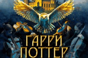 Гарри Поттер. Оркестр Sonorus