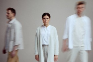 Летние Осы Кусают Нас Даже в Ноябре