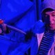 Лягушка-путешественница