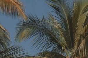 Открытие Летнего Сезона Tulum