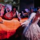 Царевна-лягушка