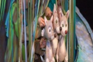 Волчья Ягода  :: Бүре Җиләге