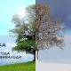 Времена Года. Антонио Вивальди