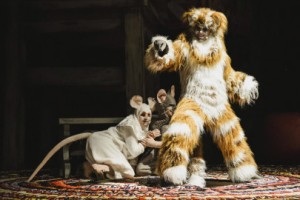 Все Мыши Любят Сыр