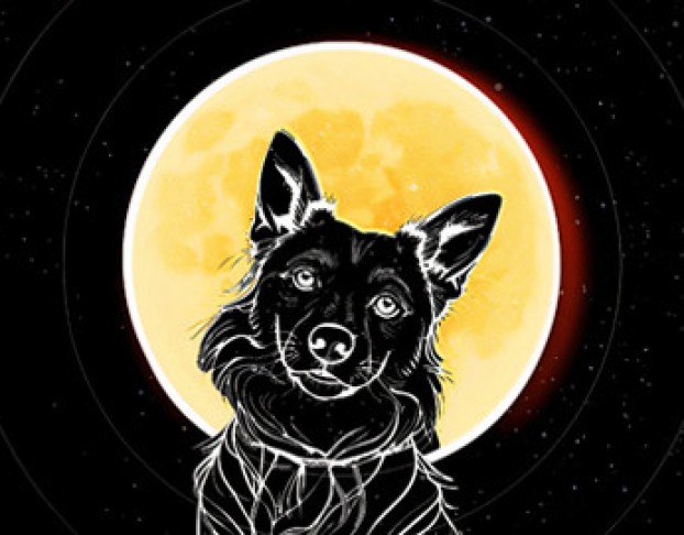 Звёздные Псы