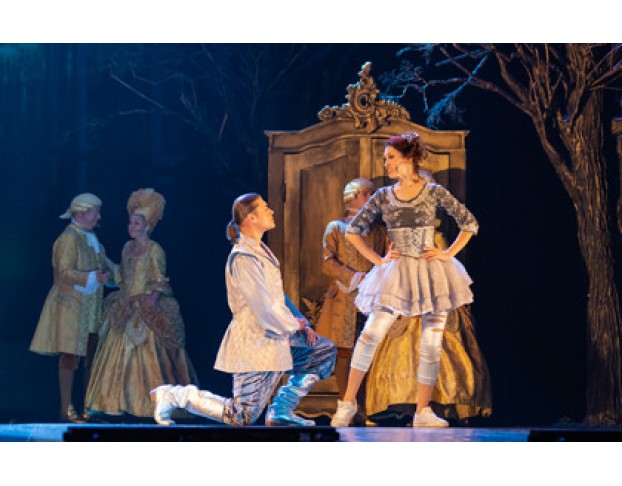 Несносная Принцесса