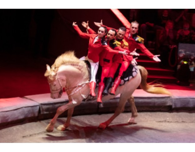 Стойкий Оловянный Солдатик