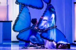 Мадам Баттерфляй