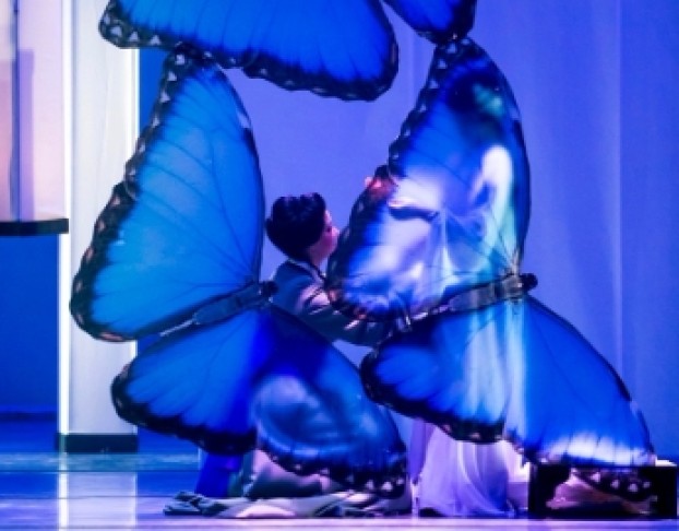 Мадам Баттерфляй