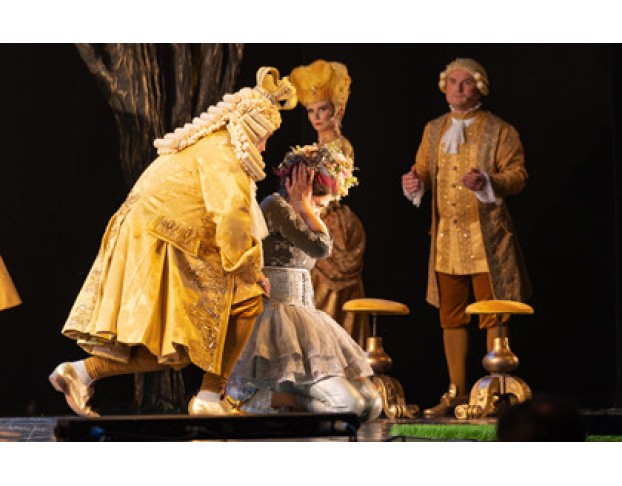 Несносная Принцесса