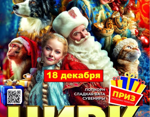 Ский Цирк Новогодний Карнавал