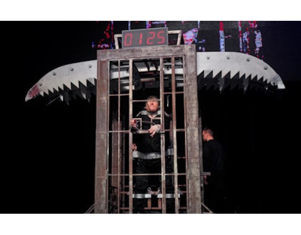 Братья Сафроновы