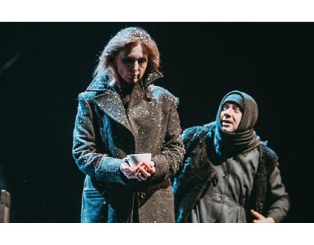 Железнова Васса Мать