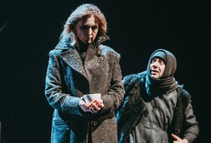 Железнова Васса Мать