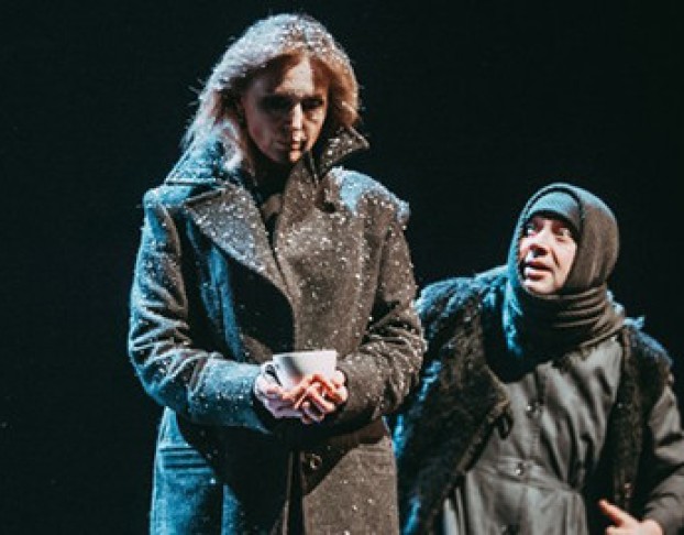 Железнова Васса Мать