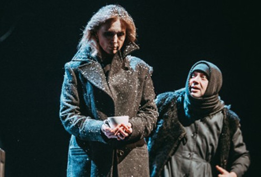 Железнова Васса Мать