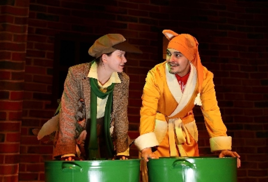 Кот в Молоке