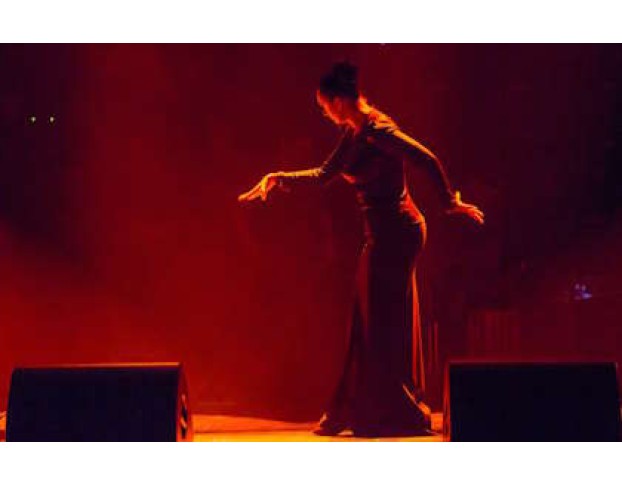 Елена Ваенга