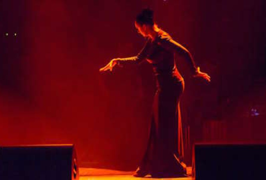 Елена Ваенга