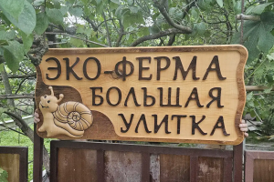 Эко-ферма Большая улитка — первая уличтоная ферма в Адлере