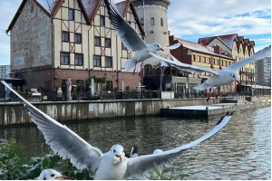 Путешествие из Кёнигсберга в Калининград
