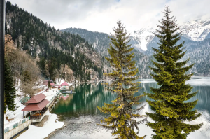 Абхазия :: Гагры, Рица, Новый Афон