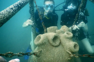 Дайвинг в Черном море