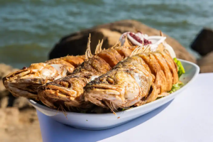 Морская рыбалка, пикник в Черном море, встреча с дельфинами