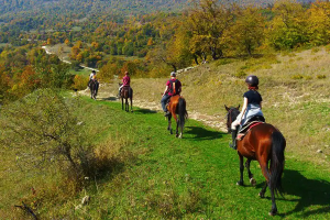 Конные прогулки, Бархан Сарыкум, Динопарк